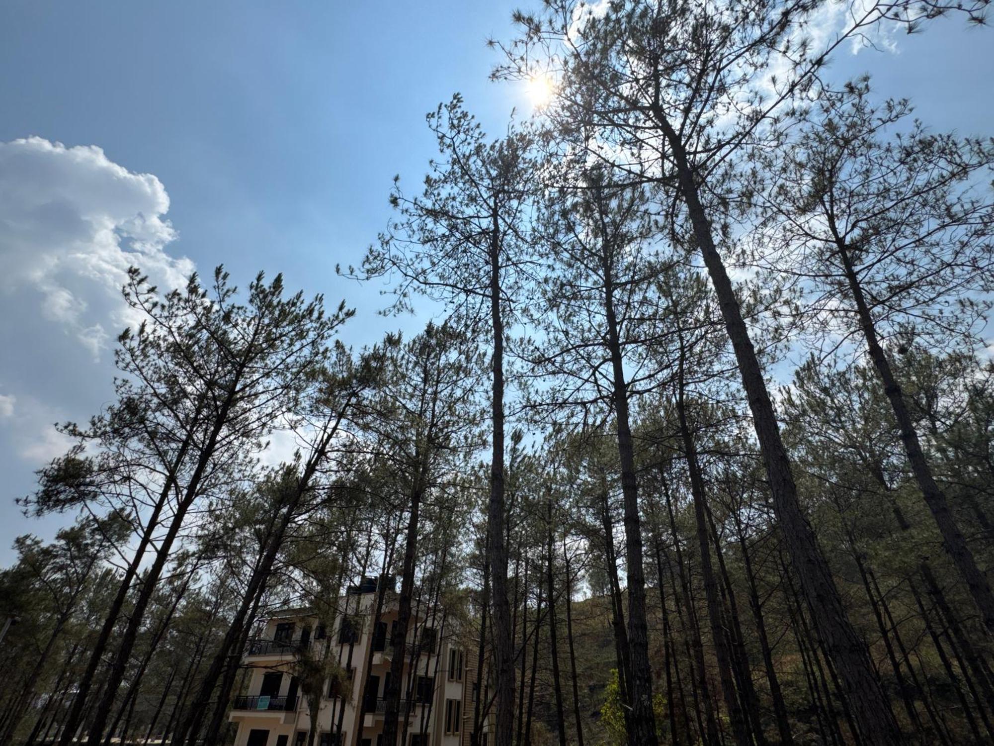 Xtsy Travellers Hostel Shillong Exterior foto