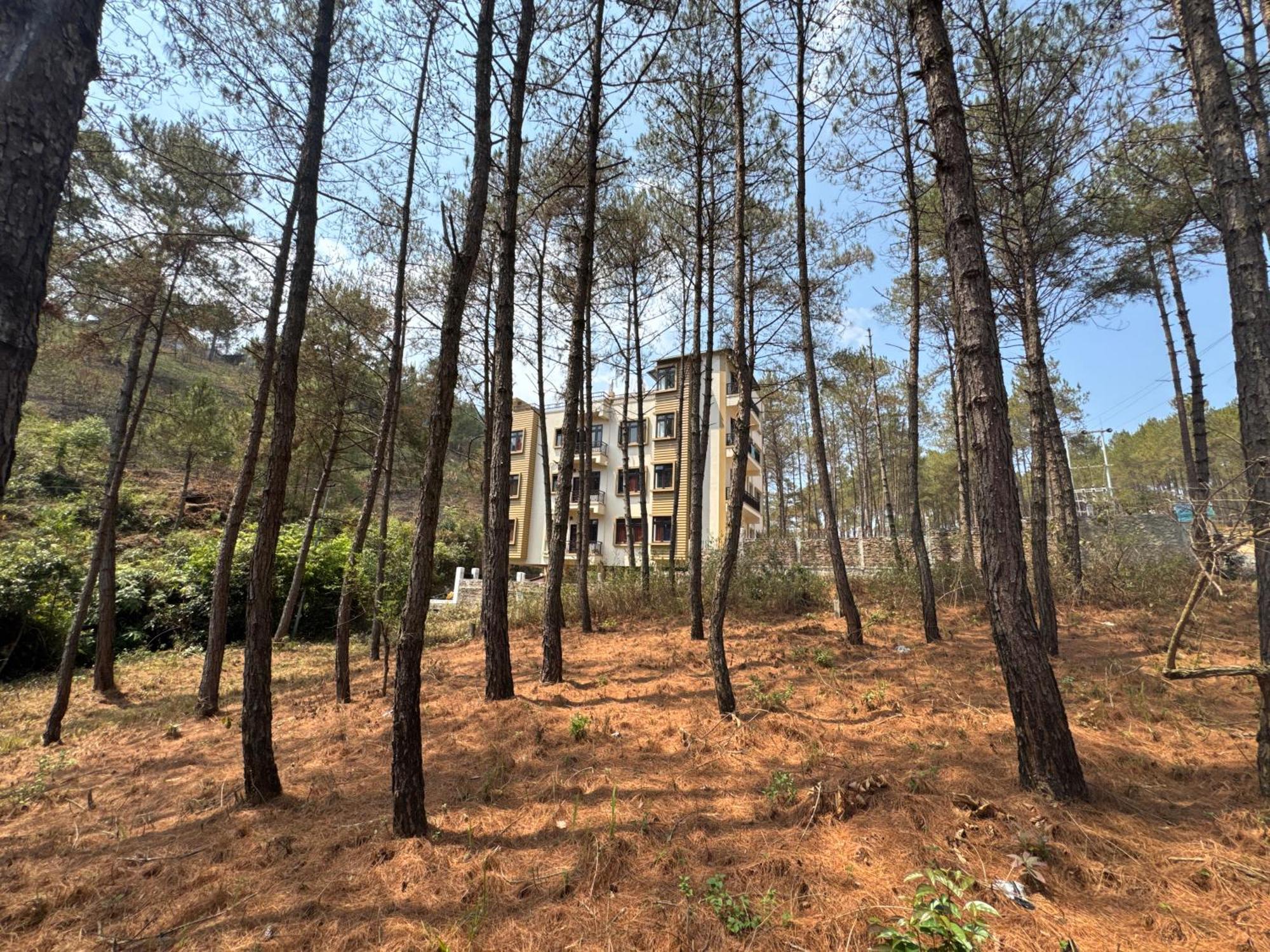 Xtsy Travellers Hostel Shillong Exterior foto